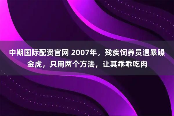 中期国际配资官网 2007年，残疾饲养员遇暴躁金虎，只用两个方法，让其乖乖吃肉